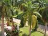 Sandals Dunn's River Villagio Golf Resort & Spa 